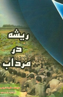 ریشه در مرداب