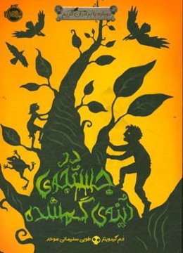 در جستجوی آینه‌ی گمشده