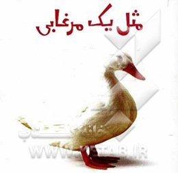 مثل یک مرغابی