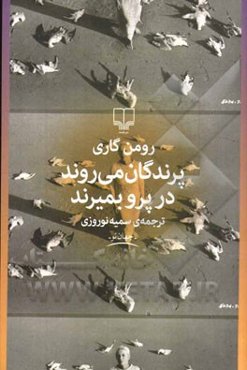 پرندگان می‌روند در پرو بمیرند