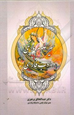 سیر علوم بلاغی در ادب فارسی