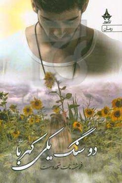 دو سنگ یکی کهربا