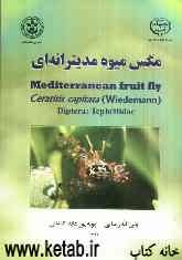 مگس میوه مدیترانه‌ای