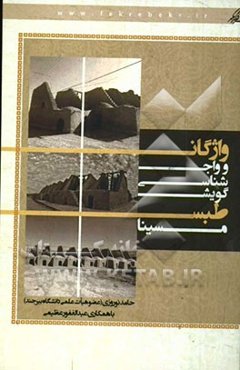 واژگان و واج‌شناسی گویش طبس مسینا