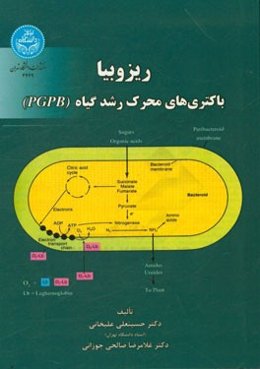 ریزوبیا: باکتری‌های محرک رشد گیاه (PGPB)
