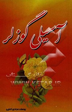 آسیلی گوزلر