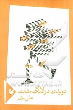 دویدن در لانگ‌شات: مجموعه‌ی شعر