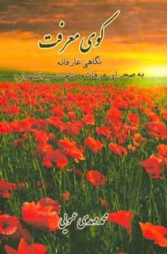 کوی معرفت: نگاهی عارفانه به صحرای عرفات و مناجات سیدالشهدا (ع)