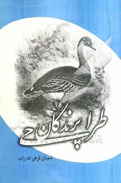 طراحی پرندگان