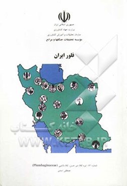 تیره کلاه میرحسن، کلاه قاضی (Plumbaginaceas)