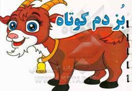 بز دم کوتاه