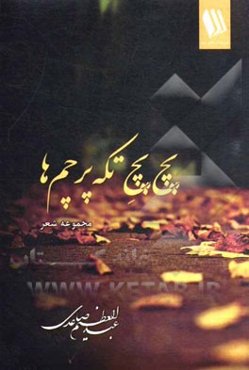 پچ پچ تکه پرچم‌ها: مجموعه شعر