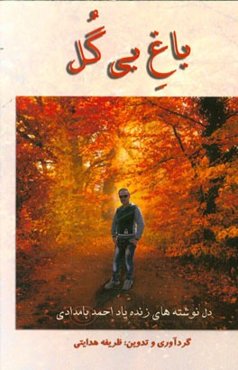 باغ بی گل: قصه‌های کوتاه و دل‌نوشته‌های زنده‌یاد احمد بامدادی