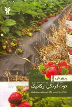 پرورش توت فرنگی ارگانیک