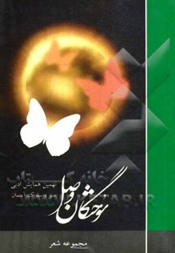 سیر و سلوک آسمان: مجموعه شعر