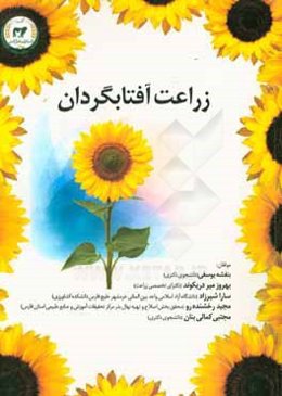 زراعت آفتابگردان