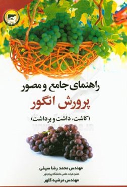راهنمای جامع و مصور پرورش انگور (کاشت، داشت و برداشت)
