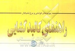 راهنمای کالبدگشایی