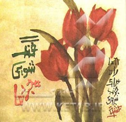 فنگ‌شویی مجردها: 108 راه برای چیدمان محیط اطراف، برای پذیرش نیروی عشق