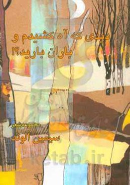 دیدی که آه کشیدم و باران بارید؟!