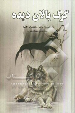 گرگ پالان‌دیده