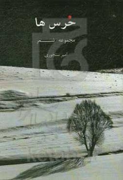 خرس‌ها: مجموعه شعر