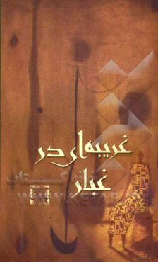 غریبه‌ای در غبار