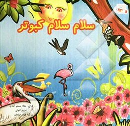 سلام سلام کبوتر