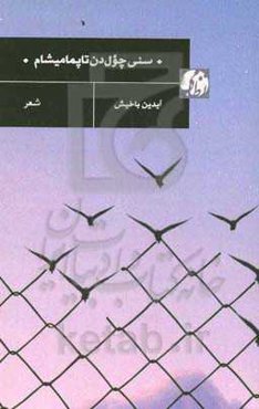 سنی چول‌دن تاپمامیشام