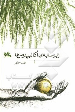 زیر سایه‌ی اکالیپتوس‌ها