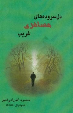 دل سروده‌های مسافری غریب: کتاب اول