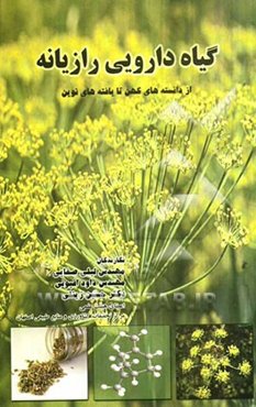 گیاه دارویی رازیانه: از دانسته‌های کهن تا یافته‌های نوین