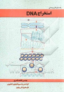 راهنمای نظری و عملی استخراج DNA