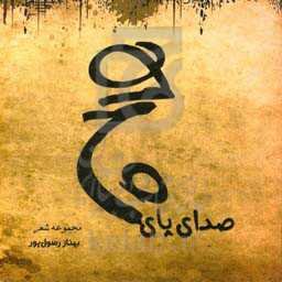 صدای پای هیچ