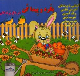 بگرد و پیدا کن در باغ پرندگان