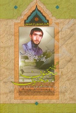 گذر مجنون از مجنون