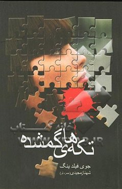 تکه‌های گمشده