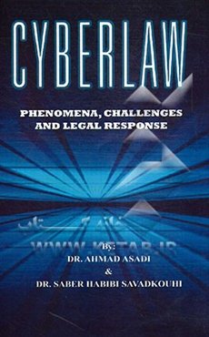 Cyber law: phenomena, challenges and legal response