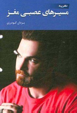 نظریه مسیرهای عصبی مغز