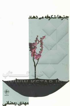 چترها شکوفه می‌دهند