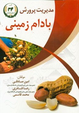 مدیریت پرورش بادام زمینی
