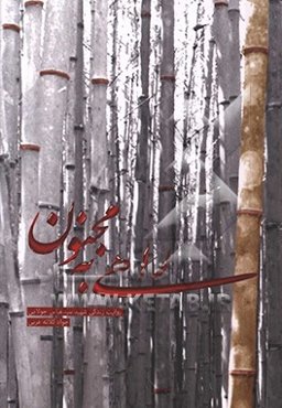 راهی به مجنون: روایت زندگی شهید سیدعباس جولایی