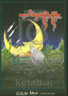 پچ پچ مرداب