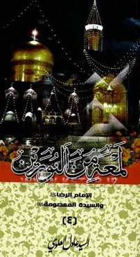 لمعه من النورین الامام الرضا و السیده المعصومه (ع)