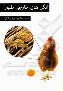 انگل‌های خارجی طیور