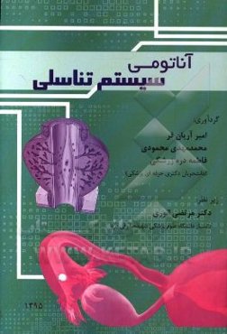 آناتومی سیستم تناسلی