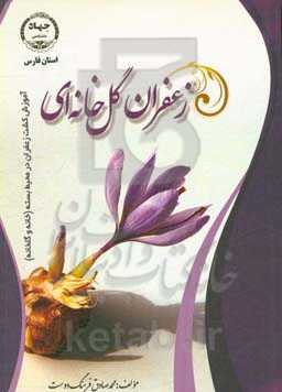 زعفران گلخانه‌ای: آموزش کشت زعفران در محیط بسته (خانه و گلخانه)