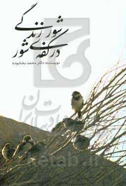 شور زندگی در کفه‌ی شور