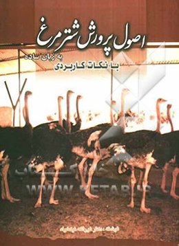 پرورش شترمرغ به زبان ساده با نکات کاربردی
