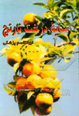 سایه‌ی درخت نارنج